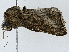  ( - BIOUG85498-B12)  @11 [ ] CreativeCommons - Attribution (2022) CBG Photography Group Centre for Biodiversity Genomics