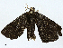  ( - BIOUG99480-A09)  @11 [ ] CreativeCommons - Attribution (2023) CBG Photography Group Centre for Biodiversity Genomics
