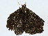  ( - BIOUG99480-A10)  @11 [ ] CreativeCommons - Attribution (2023) CBG Photography Group Centre for Biodiversity Genomics