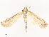 ( - CBG-B07474-E12)  @11 [ ] CreativeCommons - Attribution Share - Alike (2025) CBG Photography Group Centre for Biodiversity Genomics