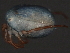  ( - CNC-IMS090044.045)  @11 [ ] CreativeCommons - Attribution (2010) Unspecified Centre for Biodiversity Genomics