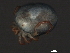  ( - CNC-IMS090044.047)  @14 [ ] CreativeCommons - Attribution (2010) Unspecified Centre for Biodiversity Genomics