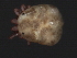  ( - CNC-IMS090053.015)  @12 [ ] CreativeCommons - Attribution (2010) Unspecified Centre for Biodiversity Genomics