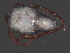  ( - CNC-IMS090063.022)  @14 [ ] CreativeCommons - Attribution (2010) Unspecified Centre for Biodiversity Genomics