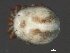  ( - CNC-IMS090063.039)  @14 [ ] CreativeCommons - Attribution (2010) Unspecified Centre for Biodiversity Genomics