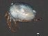  ( - CNC-IMS090063.040)  @14 [ ] CreativeCommons - Attribution (2010) Unspecified Centre for Biodiversity Genomics