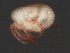  ( - CNC-IMS090063.042)  @14 [ ] CreativeCommons - Attribution (2010) Unspecified Centre for Biodiversity Genomics