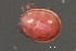  ( - CNC-IMS090035.012)  @13 [ ] CreativeCommons - Attribution (2010) Unspecified Centre for Biodiversity Genomics