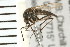  ( - ACT-CM07-09)  @14 [ ] CreativeCommons - Attribution (2009) Unspecified Centre for Biodiversity Genomics