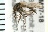  ( - ACT-CM07-18)  @13 [ ] CreativeCommons - Attribution (2009) Unspecified Centre for Biodiversity Genomics