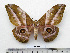  ( - BC-MN0225)  @11 [ ] CC-By (2025) Mike Newport Research collection of Mike Newport