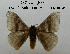  ( - CO1-AJ6)  @11 [ ] By-SA Creative Common (2020) Frederic Beneluz Research collection of Frederic Beneluz