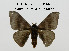  ( - CO1-AJ7)  @11 [ ] By-SA Creative Common (2020) Frederic Beneluz Research collection of Frederic Beneluz