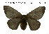  ( - CO1-AJ8)  @11 [ ] Copyright (2020) Frédéric Bénéluz Research Collection of Fred Bénéluz