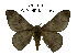  ( - CO1-AJ9)  @11 [ ] Copyright (2020) Frédéric Bénéluz Research Collection of Fred Bénéluz