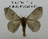  ( - CO1-AK8)  @11 [ ] By-SA Creative Common (2020) Frederic Beneluz Research collection of Frederic Beneluz