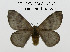  ( - CO1-AK9)  @11 [ ] By-SA Creative Common (2020) Frederic Beneluz Research collection of Frederic Beneluz