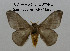  ( - CO1-AM6)  @11 [ ] By-SA Creative Common (2020) Frederic Beneluz Research collection of Frederic Beneluz