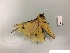  ( - RROU00540)  @12 [ ] Copyright (2017) Rodolphe Rougerie Museum national d'Histoire naturelle, Paris
