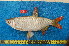  ( - NHPC-20695)  @11 [ ] by-nc-sa (2025) Herve Tjomb Universite de Ngaoundere