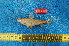  (Nannocharax rubrolabiatus - NHPC-20753)  @11 [ ] by-nc-sa (2025) Herve Tjomb Universite de Ngaoundere