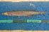  ( - NHPC-22186)  @11 [ ] by-nc-sa (2025) Herve Tjomb Universite de Ngaoundere