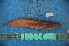  ( - NHPC-24071)  @11 [ ] by-nc-sa (2025) Herve Tjomb Universite de Ngaoundere