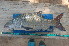  ( - NHPC-LI56)  @11 [ ] by-nc-sa (2025) Herve Tjomb Universite de Ngaoundere