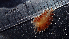  ( - NAQJC01)  @11 [ ] CreativeCommons - Attribution Non-Commercial No Derivatives (2015) Jessica Toms Stellenbosch University
