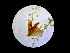  (Tergipes sp. 2 - WFBEB05)  @11 [ ] CreativeCommons - Attribution Non-Commercial No Derivatives (2015) J. Toms Stellenbosch University