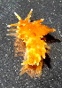  ( - WFBEB102)  @11 [ ] CreativeCommons - Attribution Non-Commercial No Derivatives (2015) J. Toms Stellenbosch University