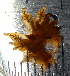  ( - WFBEB102)  @11 [ ] CreativeCommons - Attribution Non-Commercial No Derivatives (2015) J. Toms Stellenbosch University