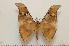  ( - BC-Basq1031)  @14 [ ] Copyright (2010) Unspecified Research Collection of Patrick Basquin