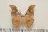  ( - BC-Basq1032)  @14 [ ] Copyright (2010) Unspecified Research Collection of Patrick Basquin