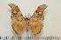  ( - BC-Basq1034)  @14 [ ] Copyright (2010) Unspecified Research Collection of Patrick Basquin