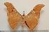  ( - BC-Basq1074)  @13 [ ] Copyright (2010) Unspecified Research Collection of Patrick Basquin