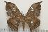  ( - BC-Basq1136)  @12 [ ] Copyright (2010) Unspecified Research Collection of Patrick Basquin