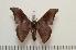  ( - BC-Basq1159)  @14 [ ] Copyright (2010) Unspecified Research Collection of Patrick Basquin