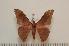  ( - BC-Basq1169)  @13 [ ] Copyright (2010) Unspecified Research Collection of Patrick Basquin