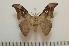  ( - BC-Basq1181)  @14 [ ] Copyright (2010) Unspecified Research Collection of Patrick Basquin