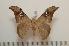  ( - BC-Basq1183)  @14 [ ] Copyright (2010) Unspecified Research Collection of Patrick Basquin