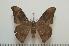  ( - BC-Basq1209)  @14 [ ] Copyright (2010) Unspecified Research Collection of Patrick Basquin