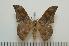  ( - BC-Basq1210)  @14 [ ] Copyright (2010) Unspecified Research Collection of Patrick Basquin