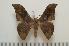  ( - BC-Basq1214)  @13 [ ] Copyright (2010) Unspecified Research Collection of Patrick Basquin