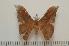  ( - BC-Basq1215)  @13 [ ] Copyright (2010) Unspecified Research Collection of Patrick Basquin