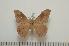  ( - BC-Basq1219)  @14 [ ] Copyright (2010) Unspecified Research Collection of Patrick Basquin
