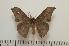  ( - BC-Basq1239)  @14 [ ] Copyright (2010) Unspecified Research Collection of Patrick Basquin