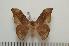  ( - BC-Basq1254)  @14 [ ] Copyright (2010) Unspecified Research Collection of Patrick Basquin