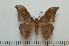  ( - BC-Basq1284)  @14 [ ] Copyright (2010) Unspecified Research Collection of Patrick Basquin