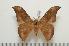  ( - BC-Basq1290)  @14 [ ] Copyright (2010) Unspecified Research Collection of Patrick Basquin